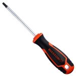 Dest. PREMIUM Punta TORX / T 30 (6 X100) (Biassoni)